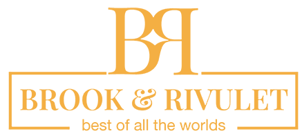 website logo